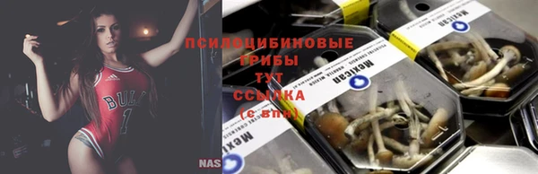 прущие крисы Майский