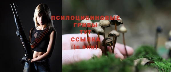 дживик Магадан