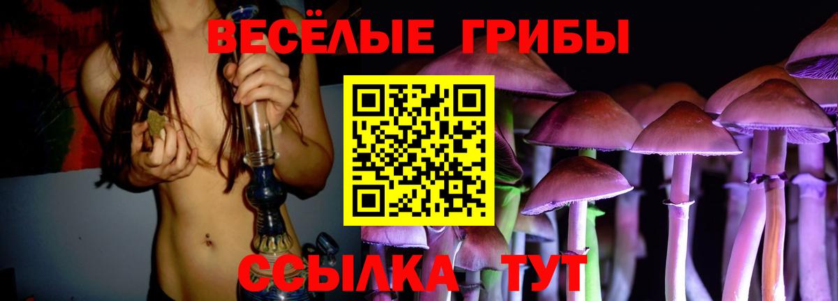 Псилоцибиновые грибы Cubensis Старая Купавна